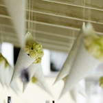 Confetti-cones-flower-petals-fullscreen.jpg