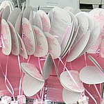 Paddle-fan-program-pink-fullscreen.jpg