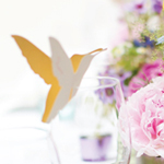 Hummingbird-placecard-fullscreen.jpg