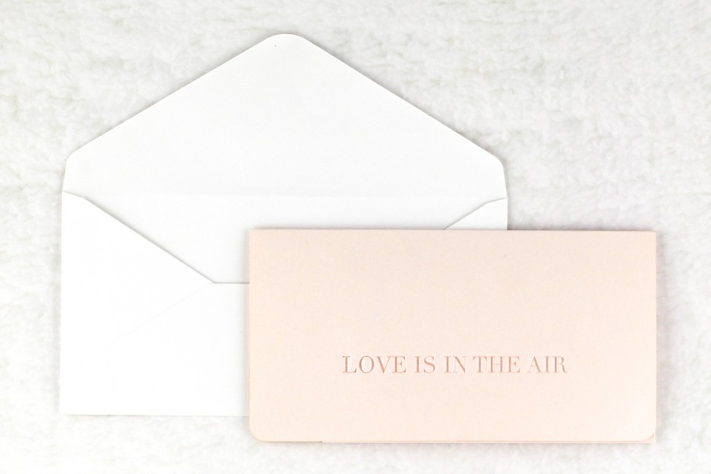 www.secretdiary.co.za | Love is in the Air - Boarding Pass Invite |SDI-6637