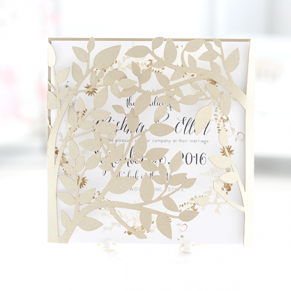 Template-portfolio-pics_0000_SDI-5314_5