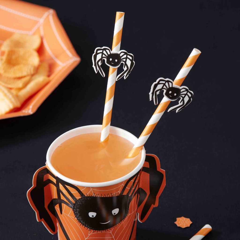 Spooky Spider Straws | www.shopsecretdiary.co.za | SDI-7207