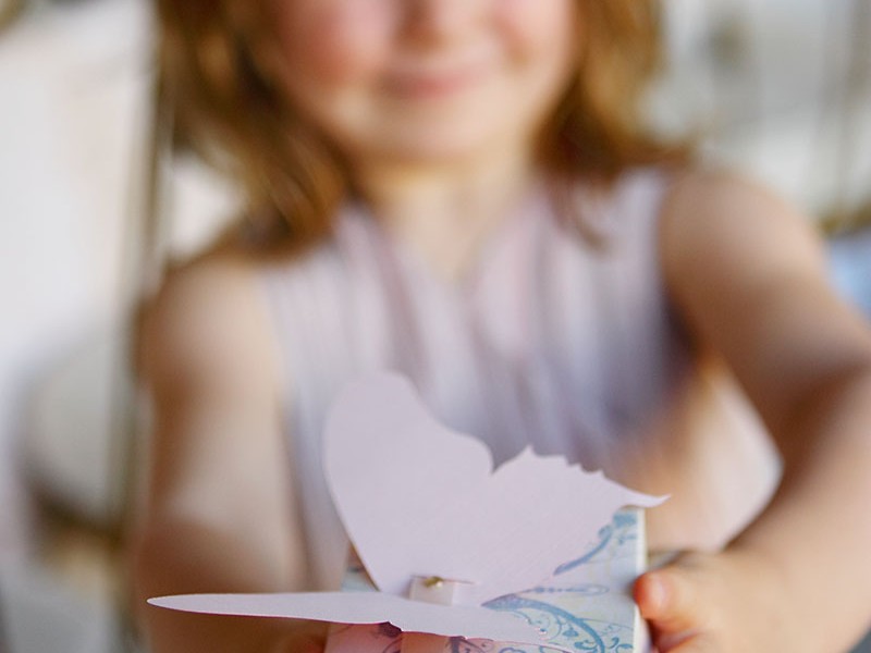 Butterfly-Box-02