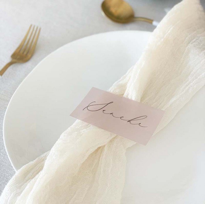 Vellum blush guest name card