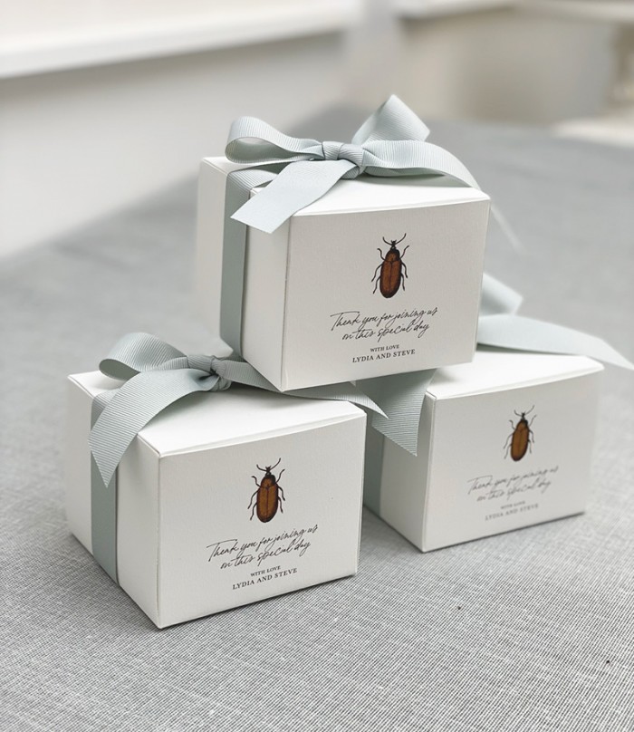 Bug gift boxes