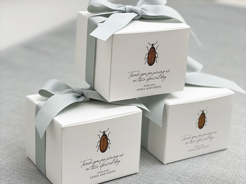 Bug gift boxes