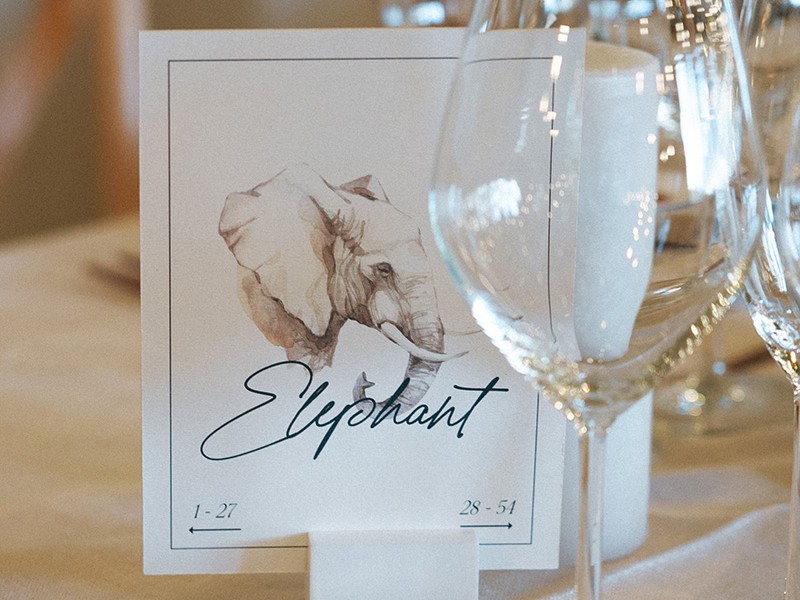 Ryan and Tim animal table name card 2