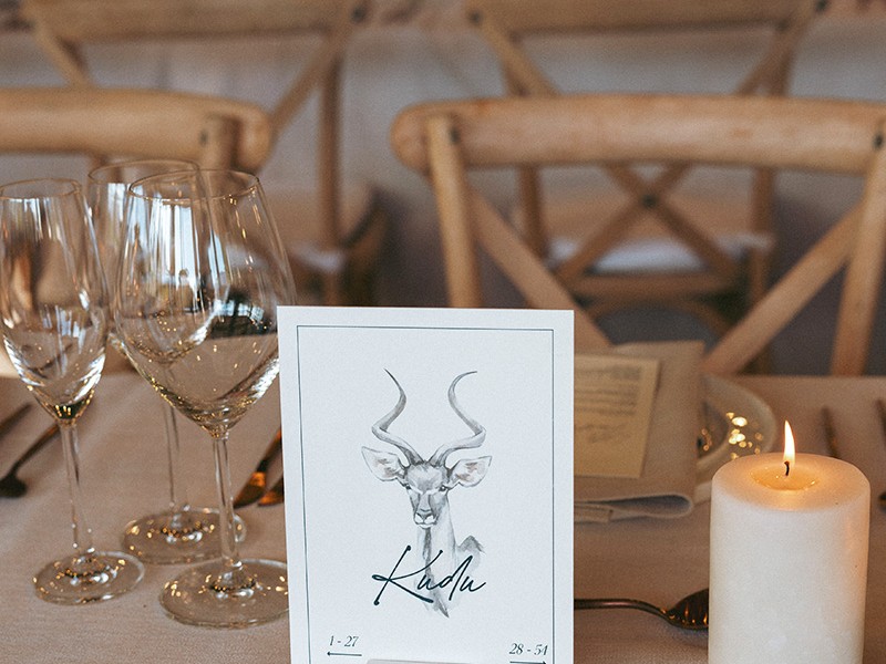 Ryan and Tim animal table name card