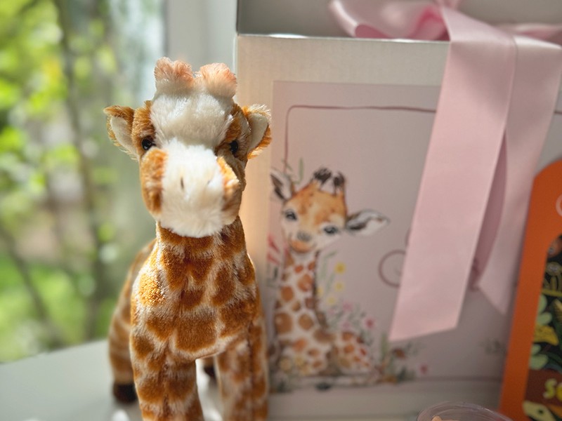 Douglas - Ginger Giraffe