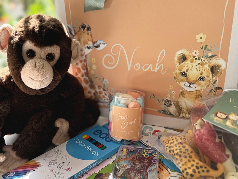 Sofie Nelis-Childrens gift box-Monkey