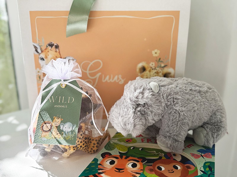 Sofie Nelis - Childrens gifts - Guus