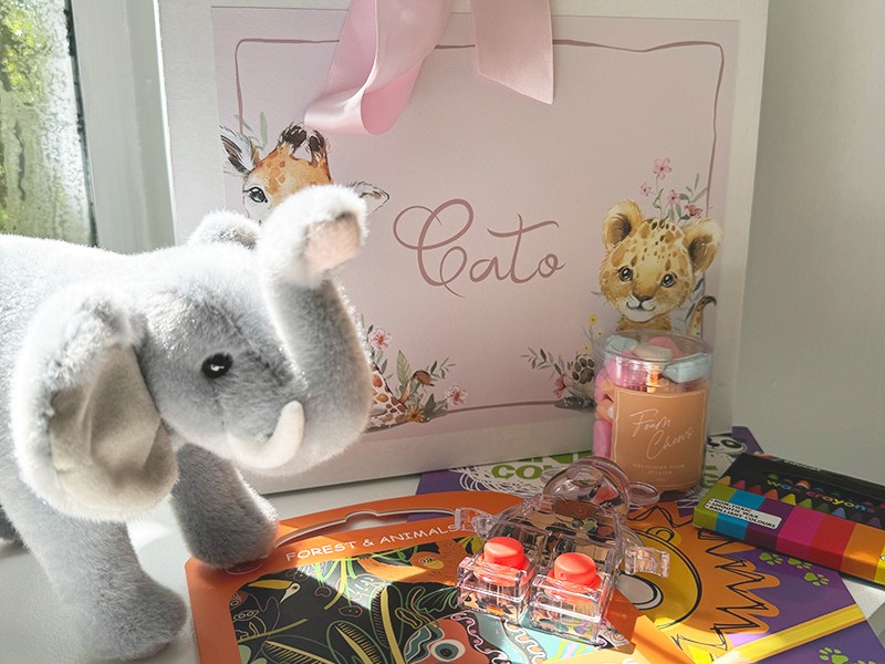 Sofie and Alphons kids activity boxes