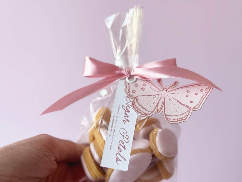 CON-SS-BIS-ICP-PNK-01 (1)